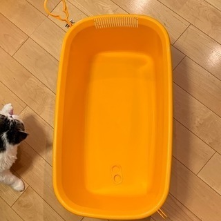 アイリスオーヤマ ペット用バスタブの画像