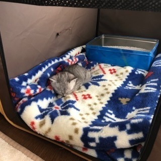 ありがとうございました