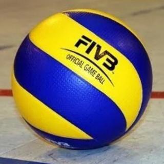本日開催西尾市でバレーボール🏐 