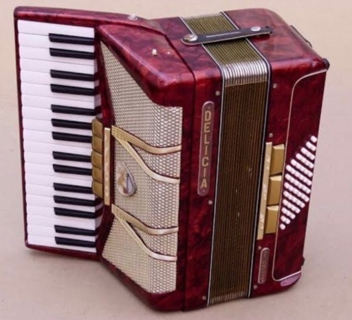 DELICIA made in チェコ アコーディオン アンティーク