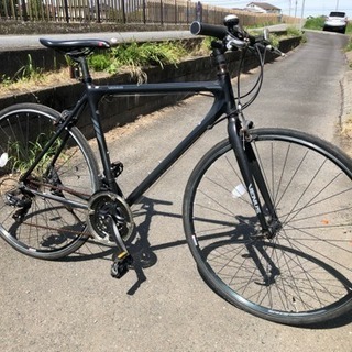 VENUS   700C