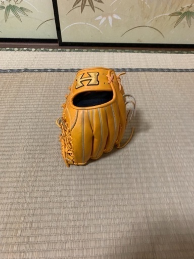 ハイゴルード 軟式 内野グローブ 技極