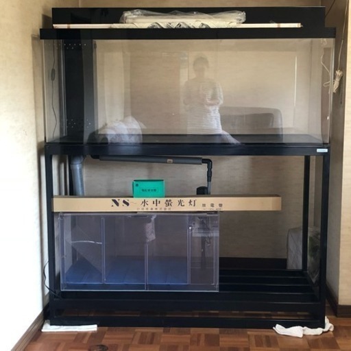 アロアナ150㎝ 水槽一式 85000円