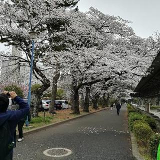 Twitterで地元の人と絡みたい - 仙台市
