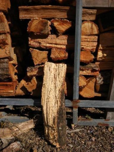 薪　カシ、クヌギのみ。