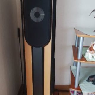 ホームシアター　スピーカー5本+サブウーファー+スタンド4個+ス...