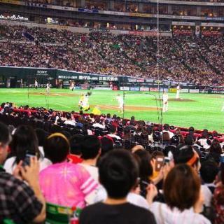 5.11(土)鷹ガールデーの画像