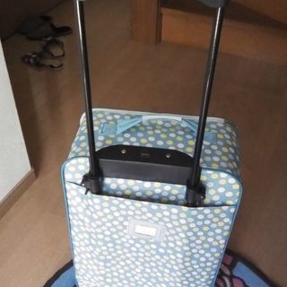 布製のキャリーバッグの画像