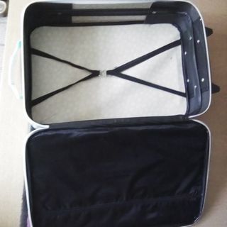 布製のキャリーバッグの画像