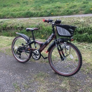 子供用自転車 22インチ