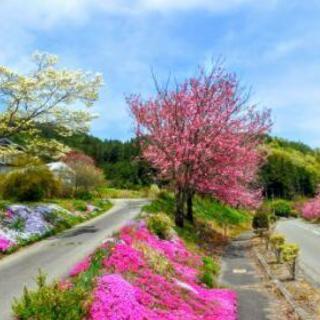 美しい風景や草花を撮影しながら、Let'sサイクリング！