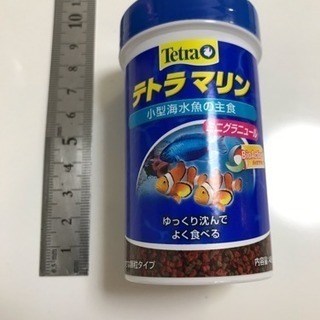 海水魚のえさ