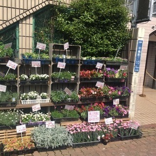 ニコで100円の画像