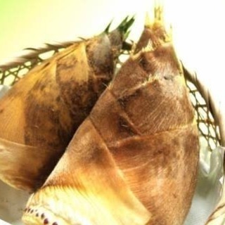 5/5 タケノコ掘りに行きませんか？(o^^o)