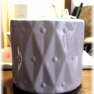 <<End of transaction>>【多肉植物】500円カランコエ属『マザーリーフ』の画像