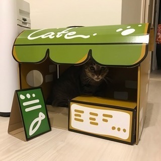 ねこあつめダンボールハウス
