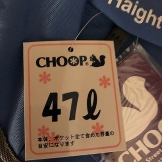 大型リュックの画像