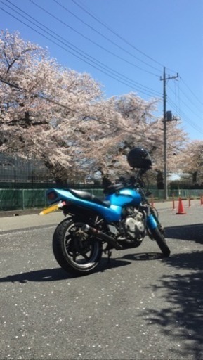 jade250 4気筒‼️