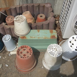 (話し合い中)園芸好きな方にいかがと思いまして、庭にある陶器製の植木鉢やプラスチックの鉢とイボ竹を無料で差し上げます。の画像