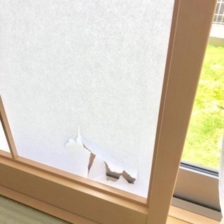 障子二枚の画像