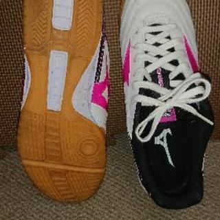 ﾗﾝｻﾒﾝﾄ SL4 26.0センチ 値下げですの画像