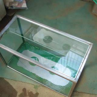 水槽の画像