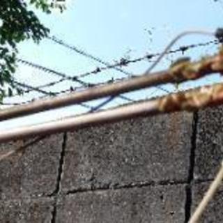 釣竿　5,5メートルの画像