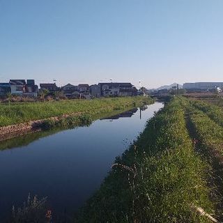 釣り仲間が欲しいです(T_T)
