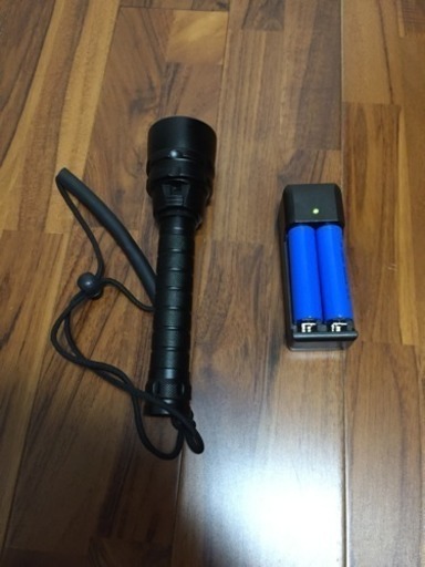 ダイビングライト