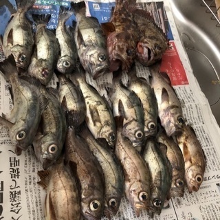 仲良くなりましょう！！