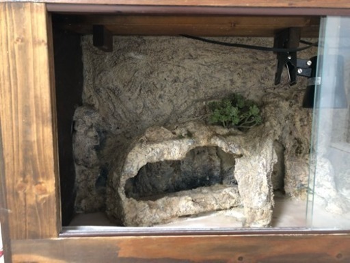 【引渡し決定】爬虫類用木製ケージ