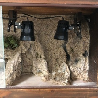 【引渡し決定】爬虫類用木製ケージの画像