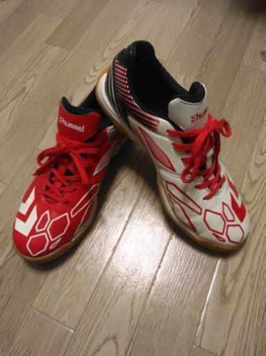 フットサルシューズ　24cm