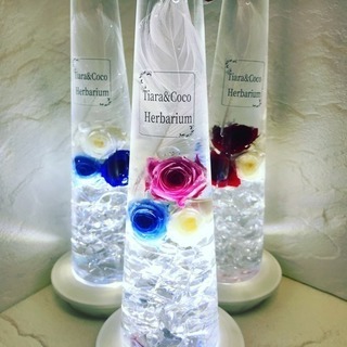 長洲町ハーバリウム 教室の画像