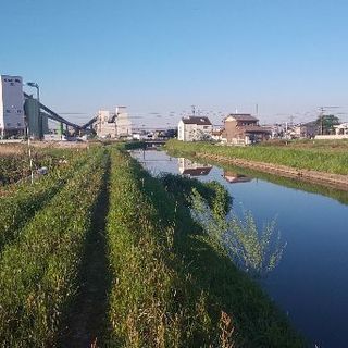 釣りしませんか！！