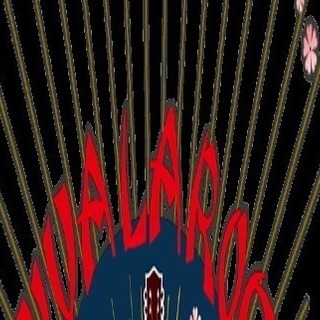 ビバラロック2019