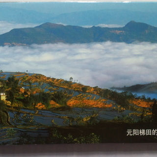 写真（絵）はがきです。中国雲南省元陽：棚田　今は世界遺産ですの画像