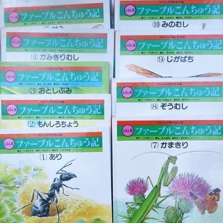 絵本（ファーブル昆虫記）