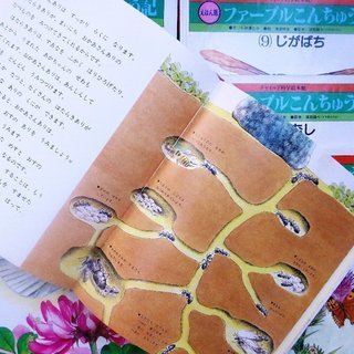 絵本（ファーブル昆虫記）の画像