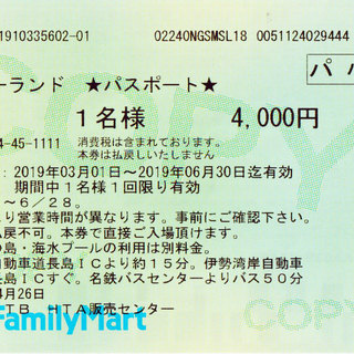 長島スパーランド入場券★パスポート★