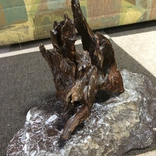 流木？木のオブジェの画像