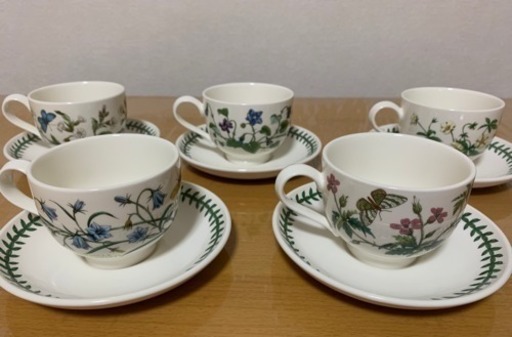 ティーカップ&ソーサー ポートメリオン、ボタニックガーデン