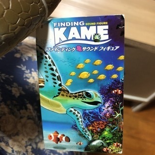 値引き！亀ソフトフィギュアBIGの画像