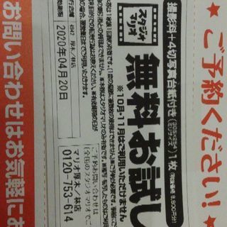 スタジオマリオ写真8800円相当無料券、他半額券