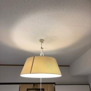 ニトリ  照明器具の画像