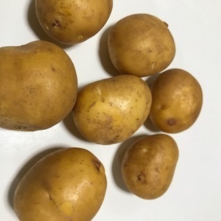 インカのめざめ終了