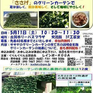 グリーンカーテンの育成チャレンジャー募集