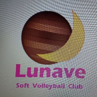 ソフトバレー メンバー募集 - スポーツ