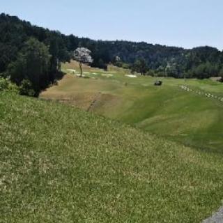 気楽に楽しむゴルフ仲間を募集します🏌️⛳️