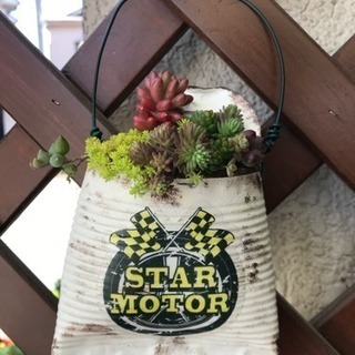 リメイク缶 バック 多肉寄植え
